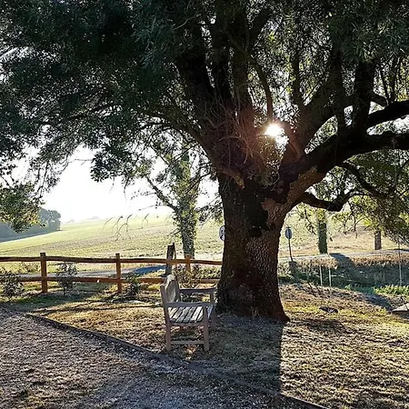 Tatil Evi La Vallee Du Soleil - Frene Fontaine-Chalendray